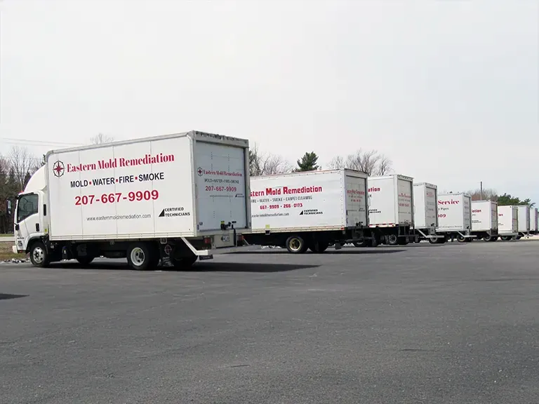 Our Trucks