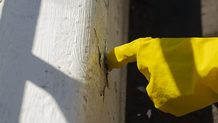 Inspecting Chipped Paint